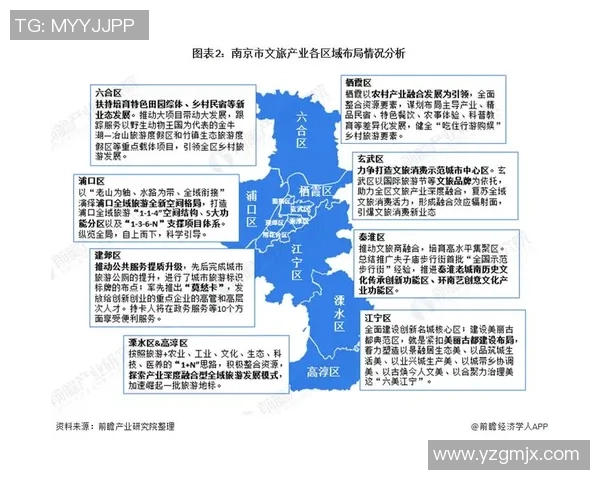 南京排球队比赛经验深度对比分析与发展建议