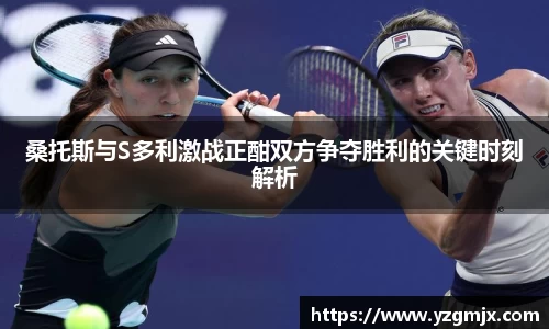 桑托斯与S多利激战正酣双方争夺胜利的关键时刻解析